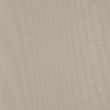 Однотонные бежевые обои (фон) Andrea Rossi Spectrum Trend 54429-4