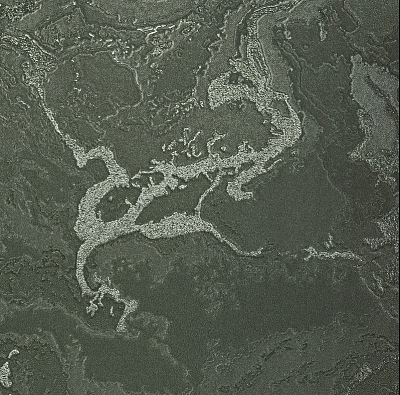 Обои 84282-29, Gaga, Bernardo Bartalucci