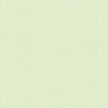 Зелёные обои для стен Alessandro Allori Bruni 1002-35 RBN