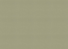 Обои шириной 53 см и длиной 10,05 метров Rasch Allegretto 692709