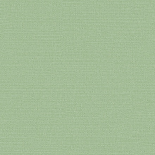 Зелёные обои для стен Alessandro Allori Bruni 1003-14 RBN